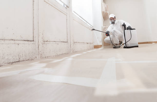 24/7 Emergency Bathroom Mold Removal experts in Henderson, TX